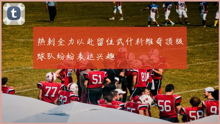 热刺全力以赴留住武什科维奇顶级球队纷纷表达兴趣
